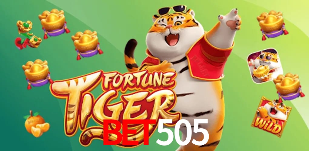Experiência VIP bet505